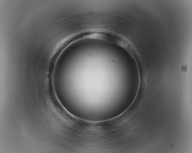 X0000112880535200908211453