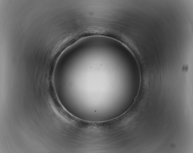 X0000112880538200908211453