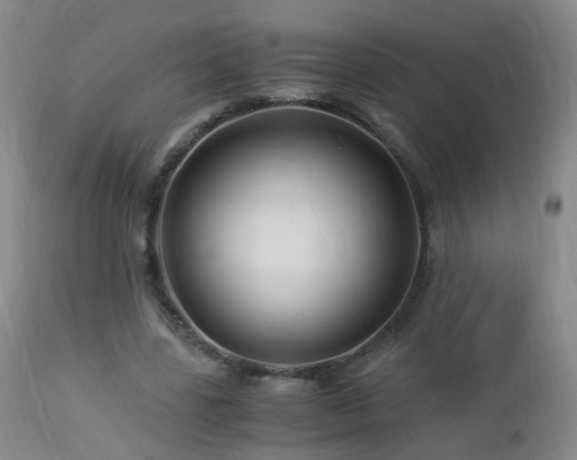 X0000112880539200908211453