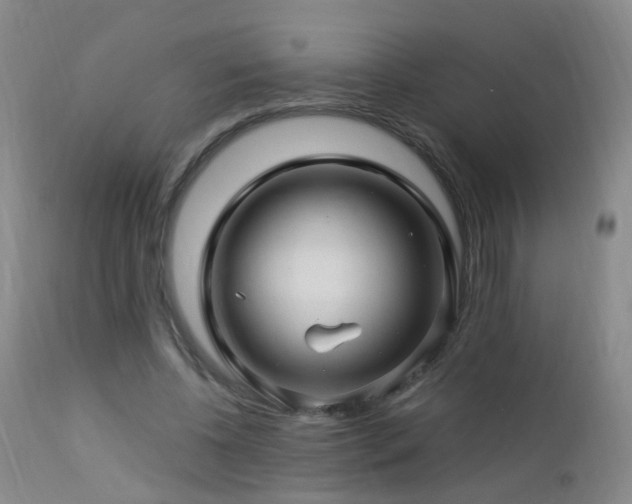 X0000112880540200908211453