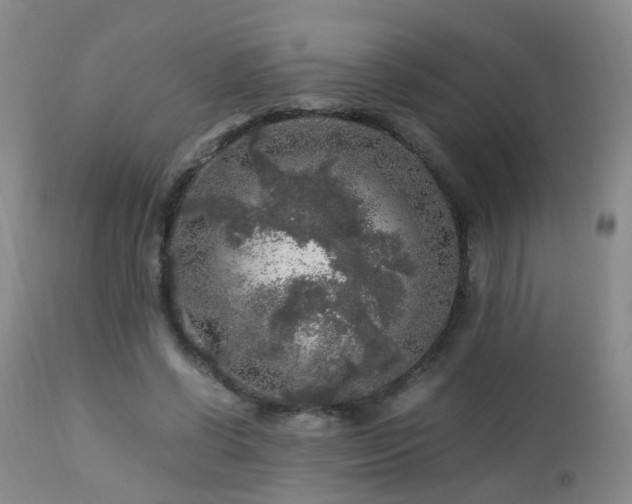 X0000112880542200908211453