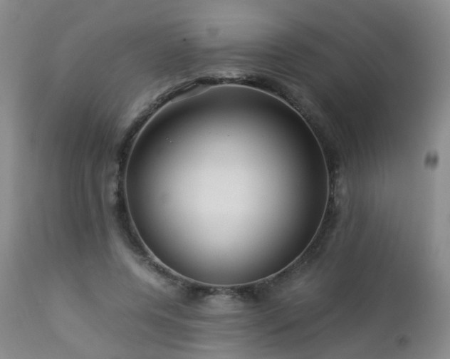 X0000112880544200908211453