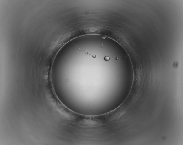 X0000112880545200908211453