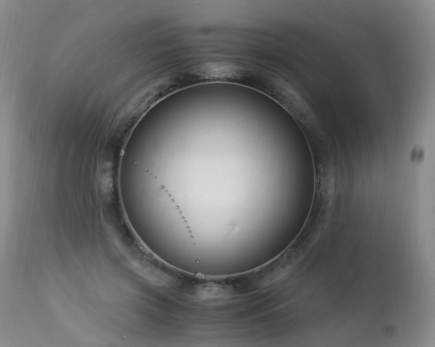 X0000112880549200908211453