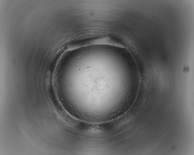 X0000112880550200908211453