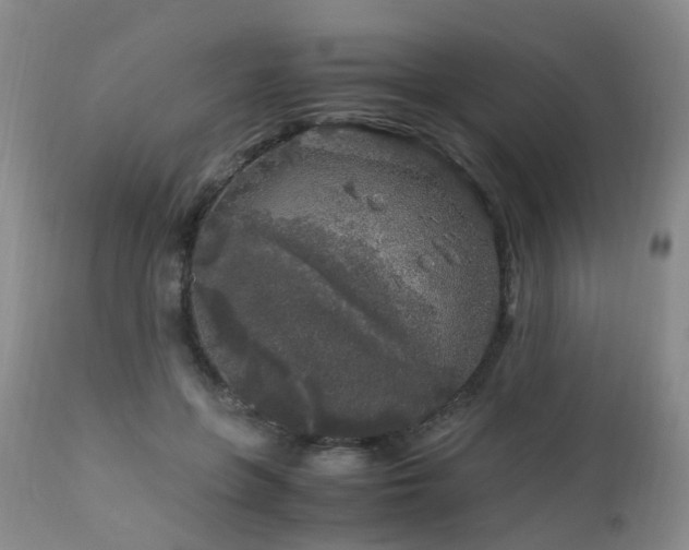 X0000112880551200908211453