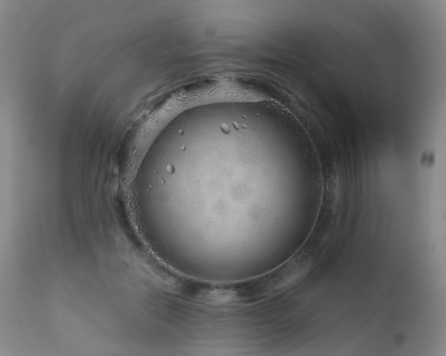 X0000112880554200908211453