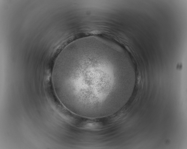 X0000112880555200908211453