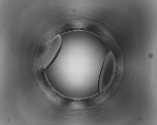 X0000112880556200908211453