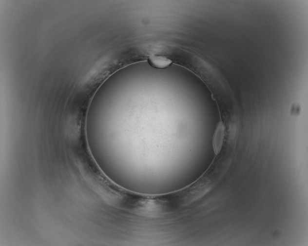 X0000112880558200908211453