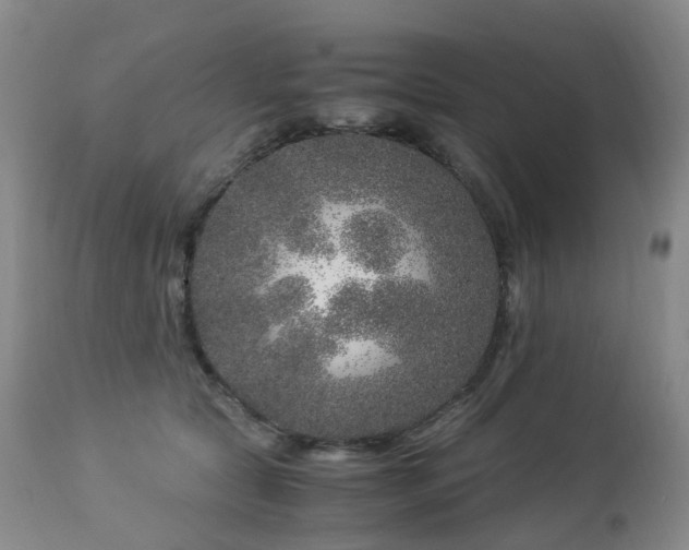 X0000112880561200908211454