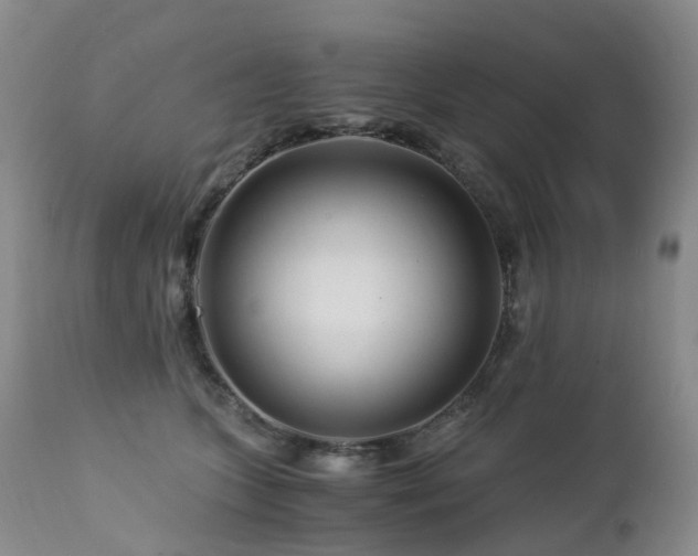 X0000112880563200908211454