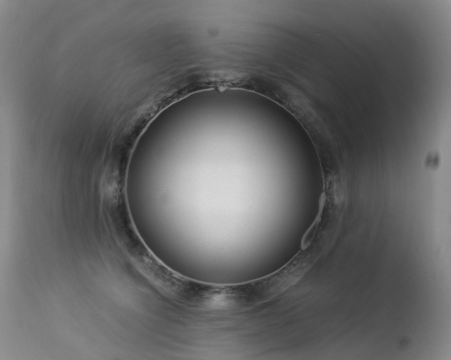 X0000112880564200908211454