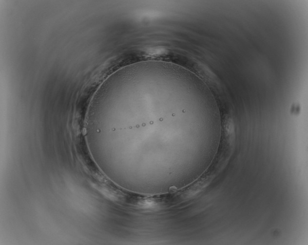 X0000112880565200908211454