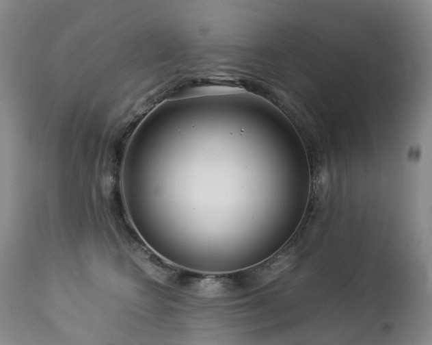 X0000112880566200908211454