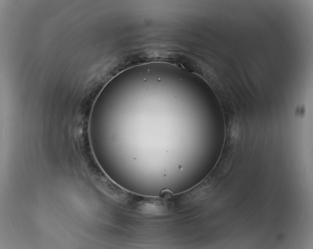 X0000112880567200908211454