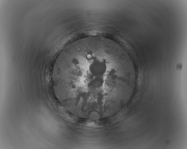 X0000112880569200908211454