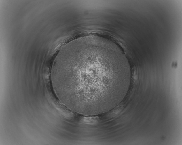 X0000112880571200908211454