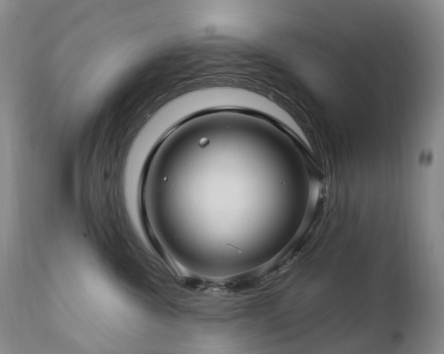 X0000112880572200908211454