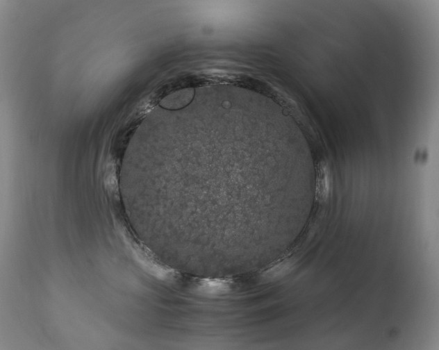 X0000112880573200908211454