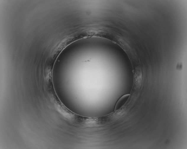 X0000112880574200908211454