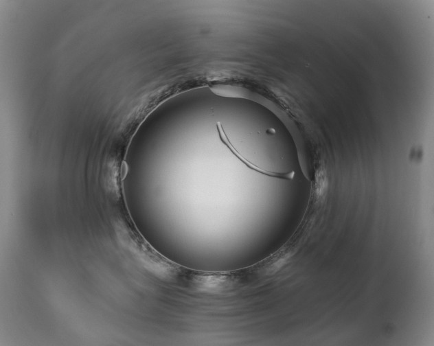 X0000112880575200908211454