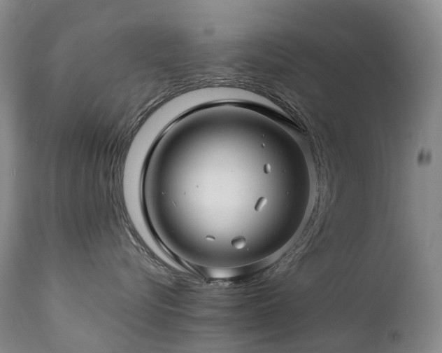 X0000112880576200908211454