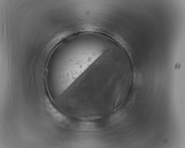 X0000112880577200908211453