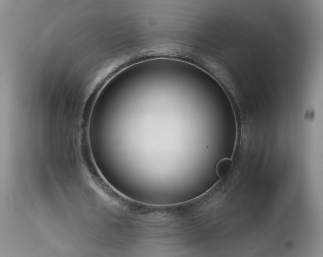 X0000112880578200908211453