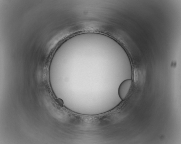 X0000112880579200908211453