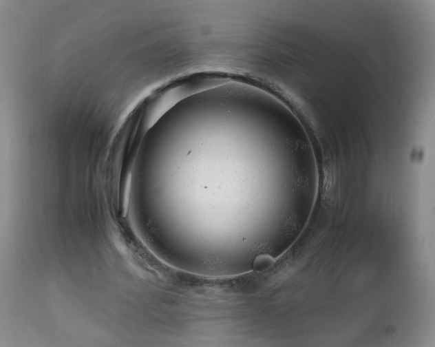 X0000112880580200908211453