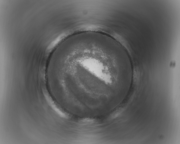 X0000112880581200908211453