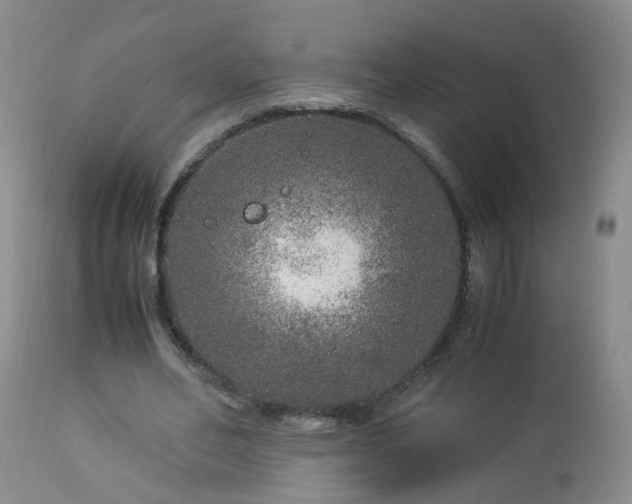 X0000112880582200908211453