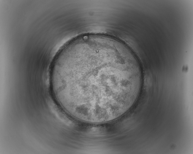 X0000112880584200908211453