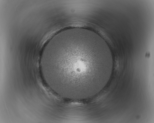 X0000112880586200908211453