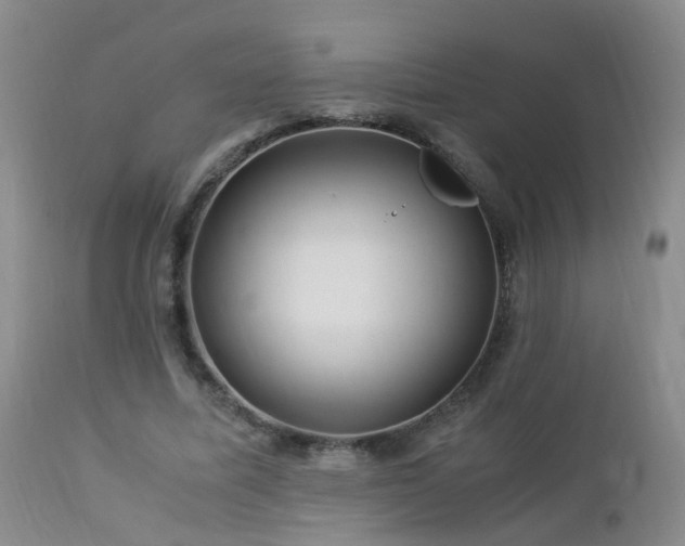 X0000112880587200908211453