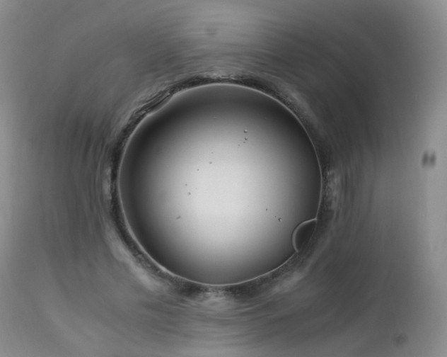 X0000112880589200908211453