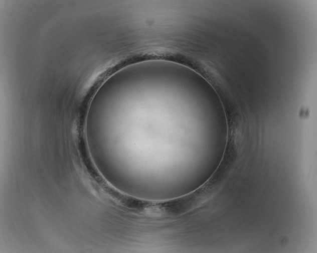 X0000112880591200908211453