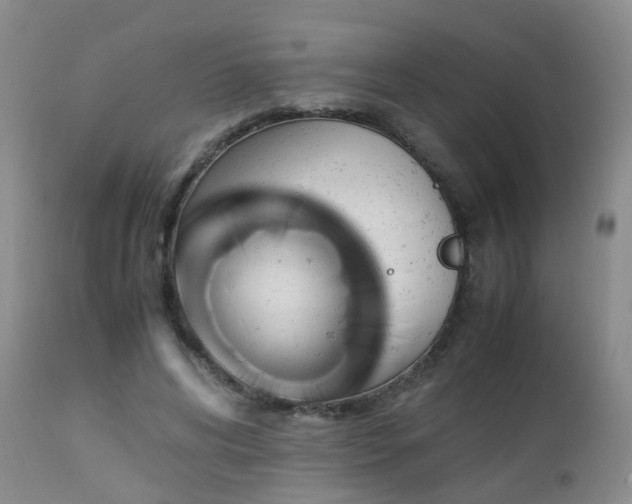 X0000112880592200908211453