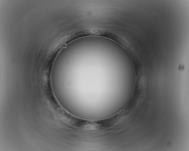 X0000112880595200908211453