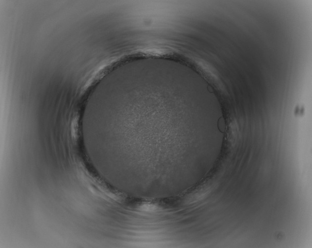 X0000112880596200908211453