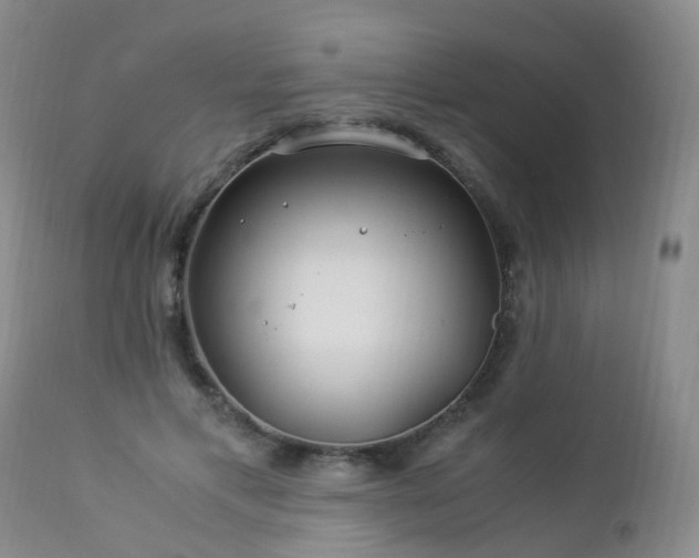 X0000112880597200908211453