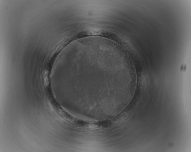 X0000112880598200908211453