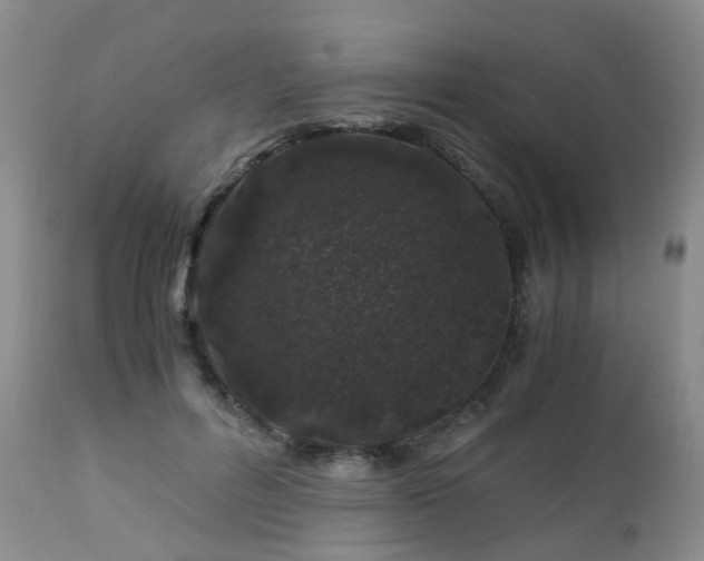 X0000112880600200908211453