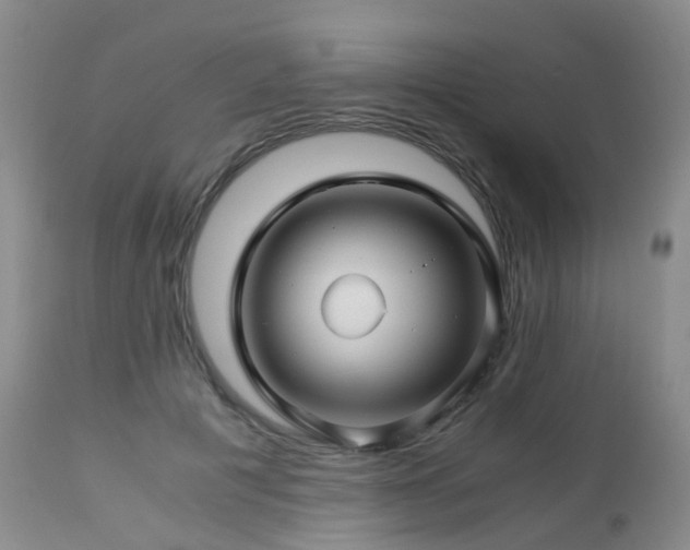 X0000112880601200908211453