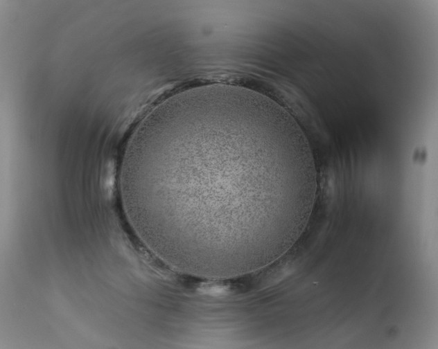 X0000112880602200908211453