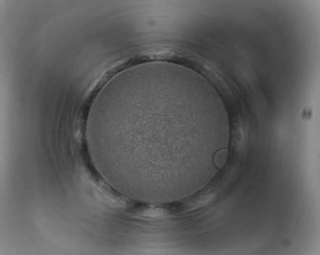 X0000112880604200908211453