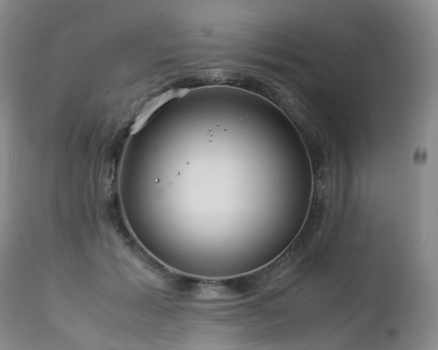 X0000112880605200908211453