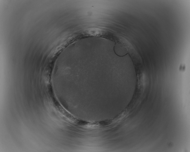 X0000112880606200908211453