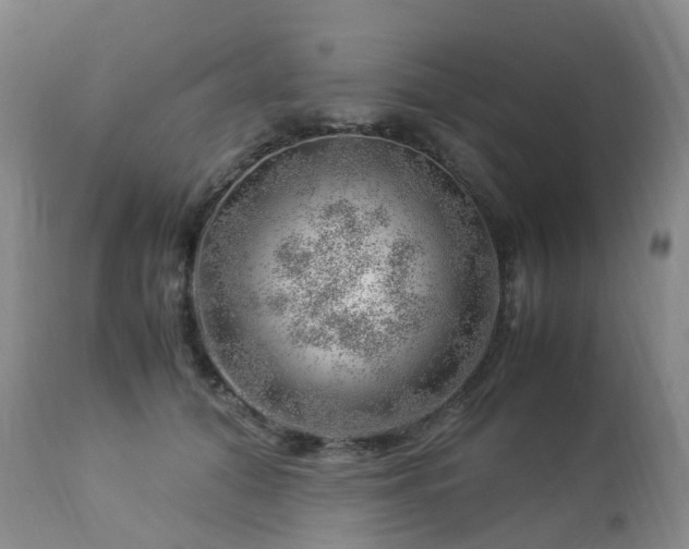 X0000112880608200908211453